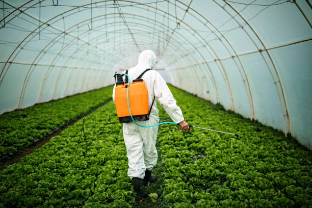 Best Pest Control for Restaurants  in Central City, NE
