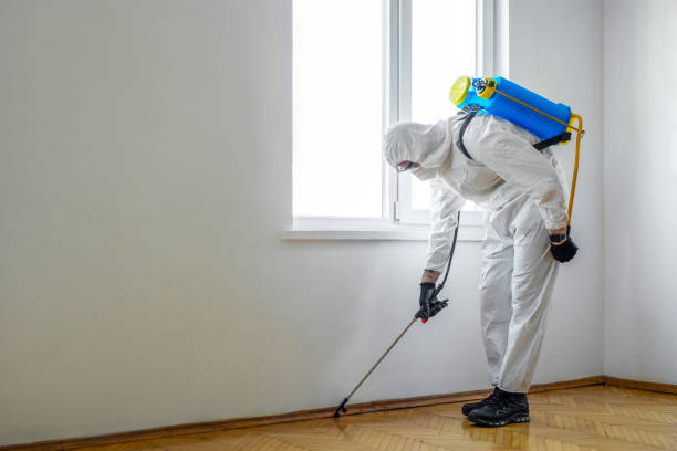 Best Pest Prevention Services  in Central City, NE