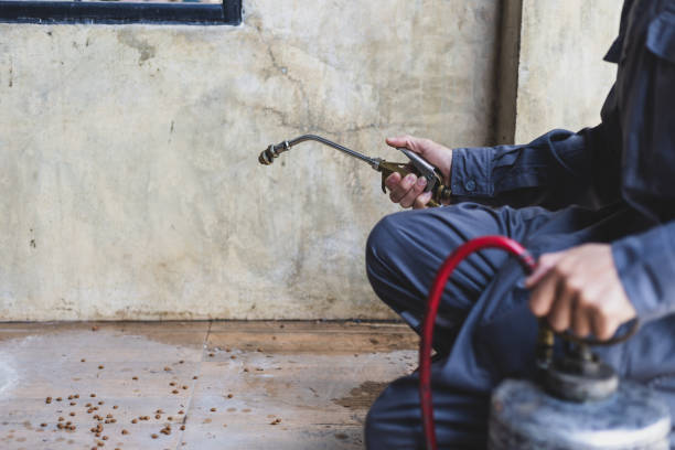 Best Mosquito Control Services  in Central City, NE